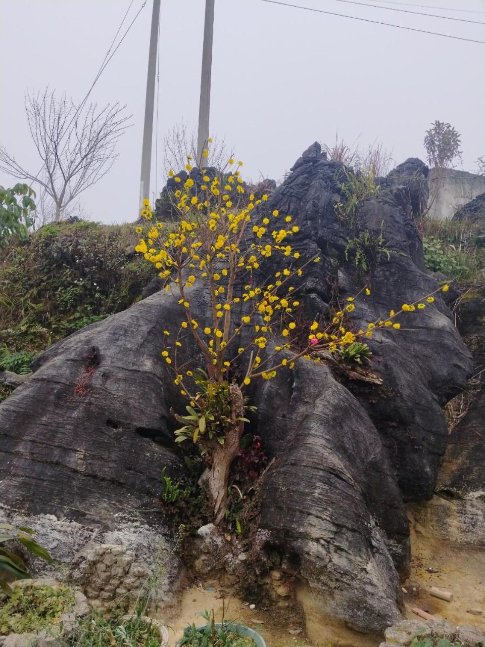 Ta Van Chu Homestay Bac Ha  Esterno foto